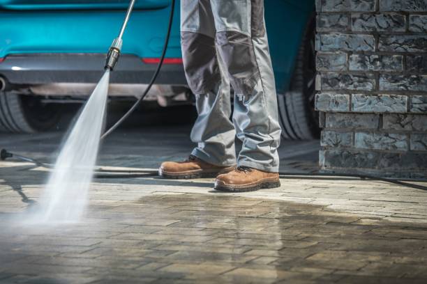 Best Rust Removal  in Earlvle, IL